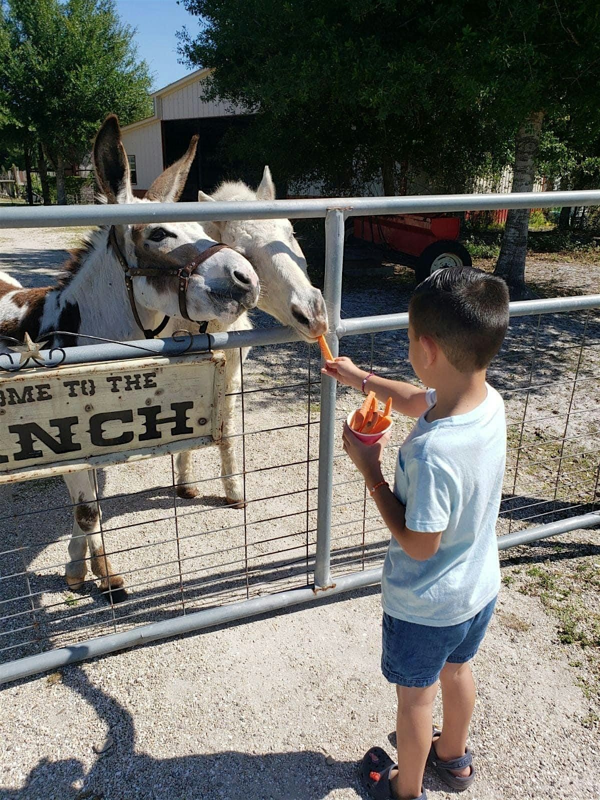 Farm Play date July 21st | Event in Fort Myers | AllEvents