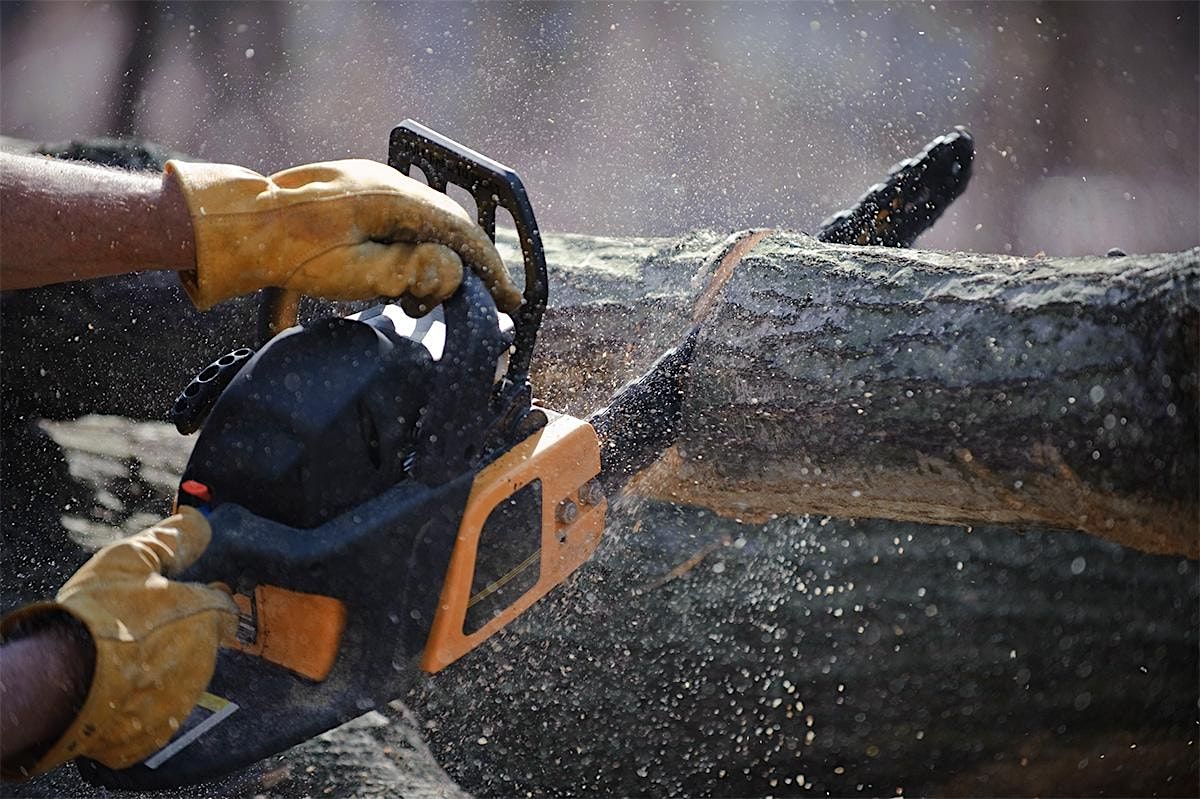 Chainsaw Safety Training, Option 2, June 24, 25, 26, 2025, 24 June | Event in Coventry | AllEvents