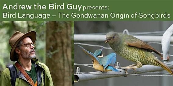 Bird Language - The Gondwanan Origin of Songbirds | Event in Taree | AllEvents