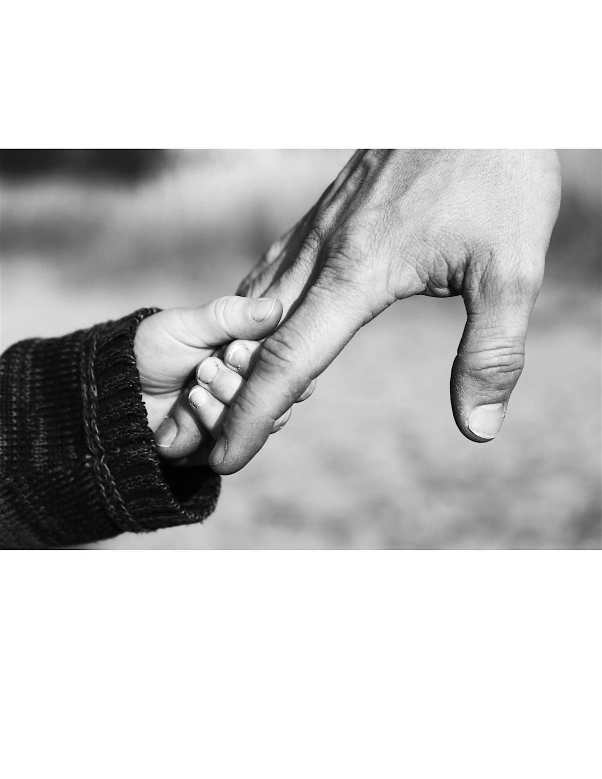 Echoes of Loss, Voices for Change, 21 August | Event in Wellington | AllEvents