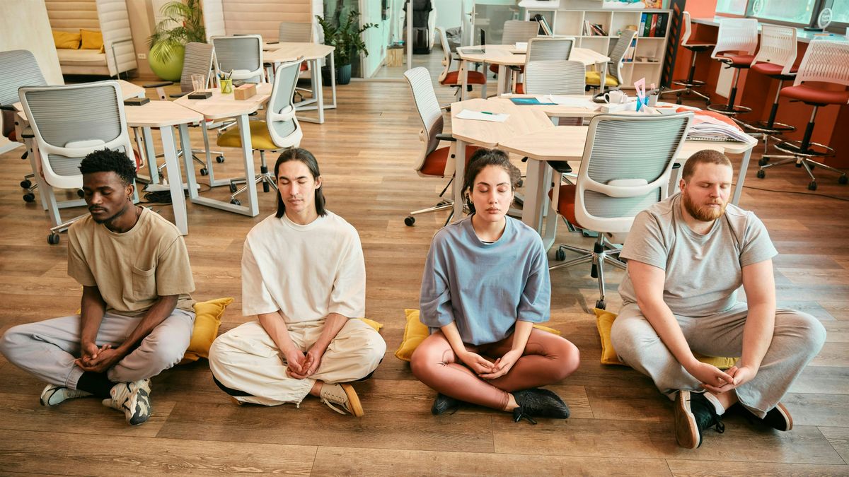 The Mindful Prof Yoga and Meditation in Valrico, 15 October | Event in Valrico | AllEvents