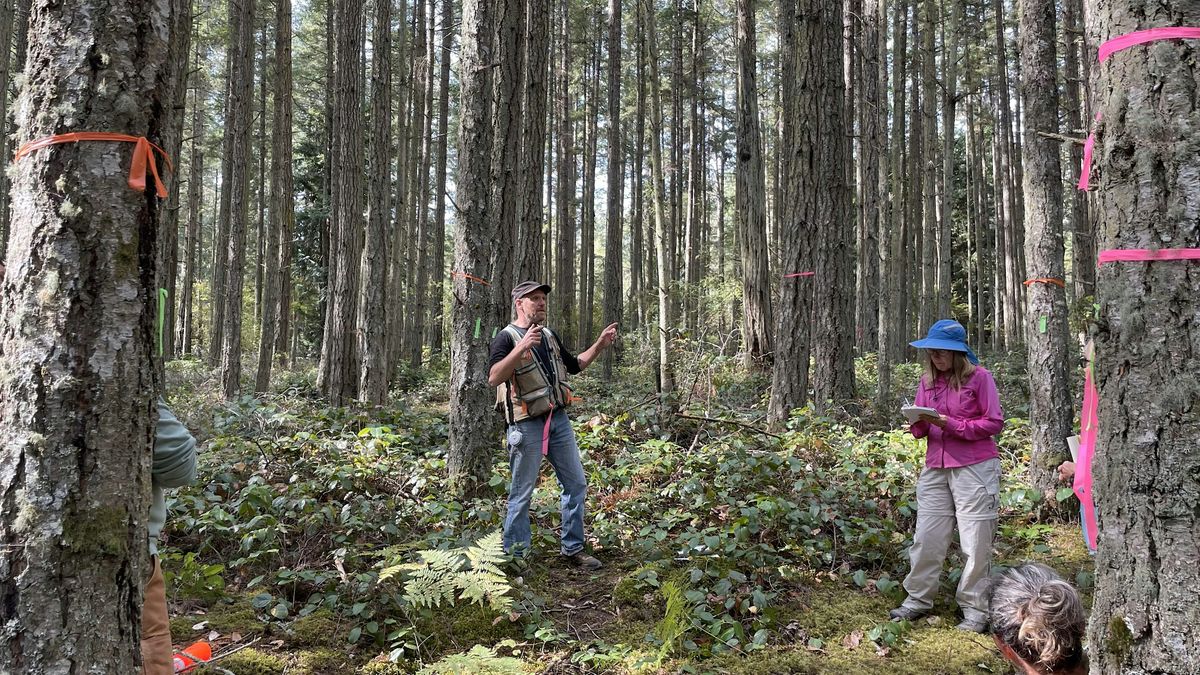 Stewarding a Resilient Forest, 26 July | AllEvents