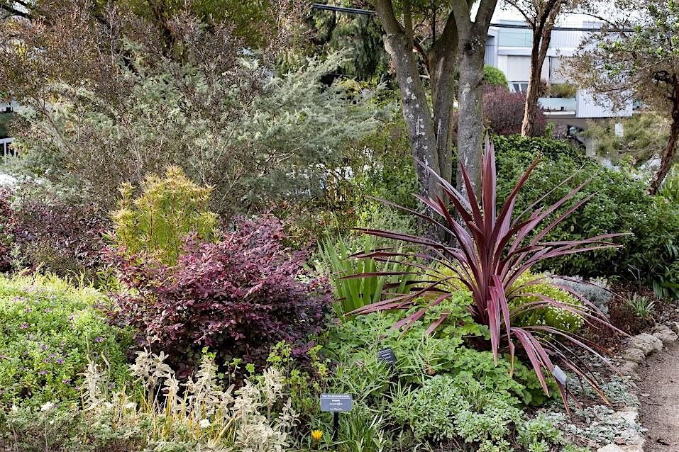 Introduction to Sustainable Gardening Series: Fall 2025, 18 October | Event in San Francisco | AllEvents