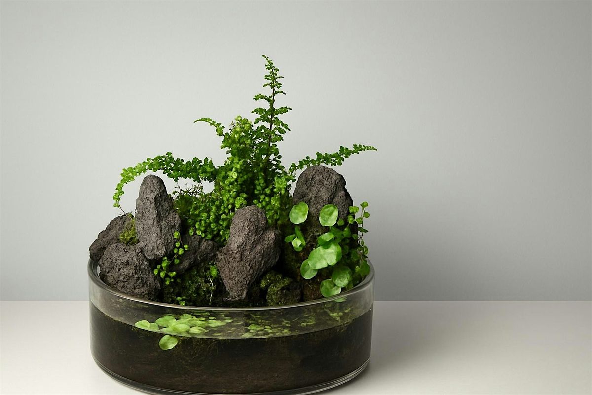Aquatic Terrarium Workshop at Allan Gardens, 21 December | Event in Toronto | AllEvents