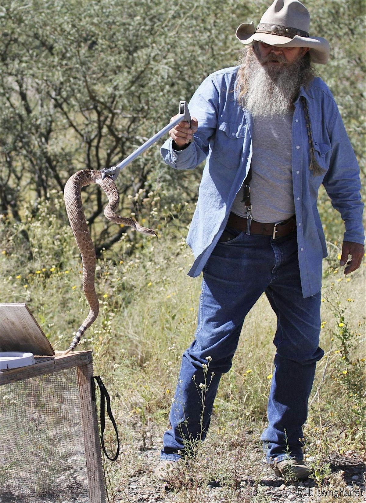 Dog Rattlesnake Avoidance Training | Event in San Tan Valley | AllEvents