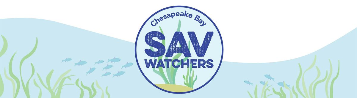 Annapolis Maritime Museum SAV Watchers Train-the-Trainer Field Event, 2 June | Event in Crownsville | AllEvents