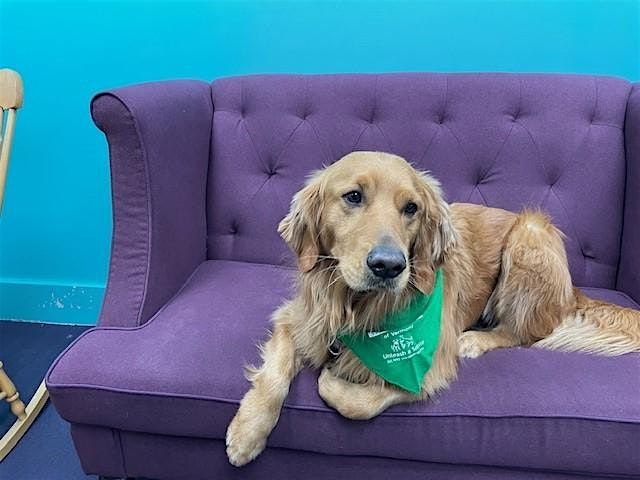 Read to Chewie the Therapy Dog, 17 June | Event in Colchester | AllEvents