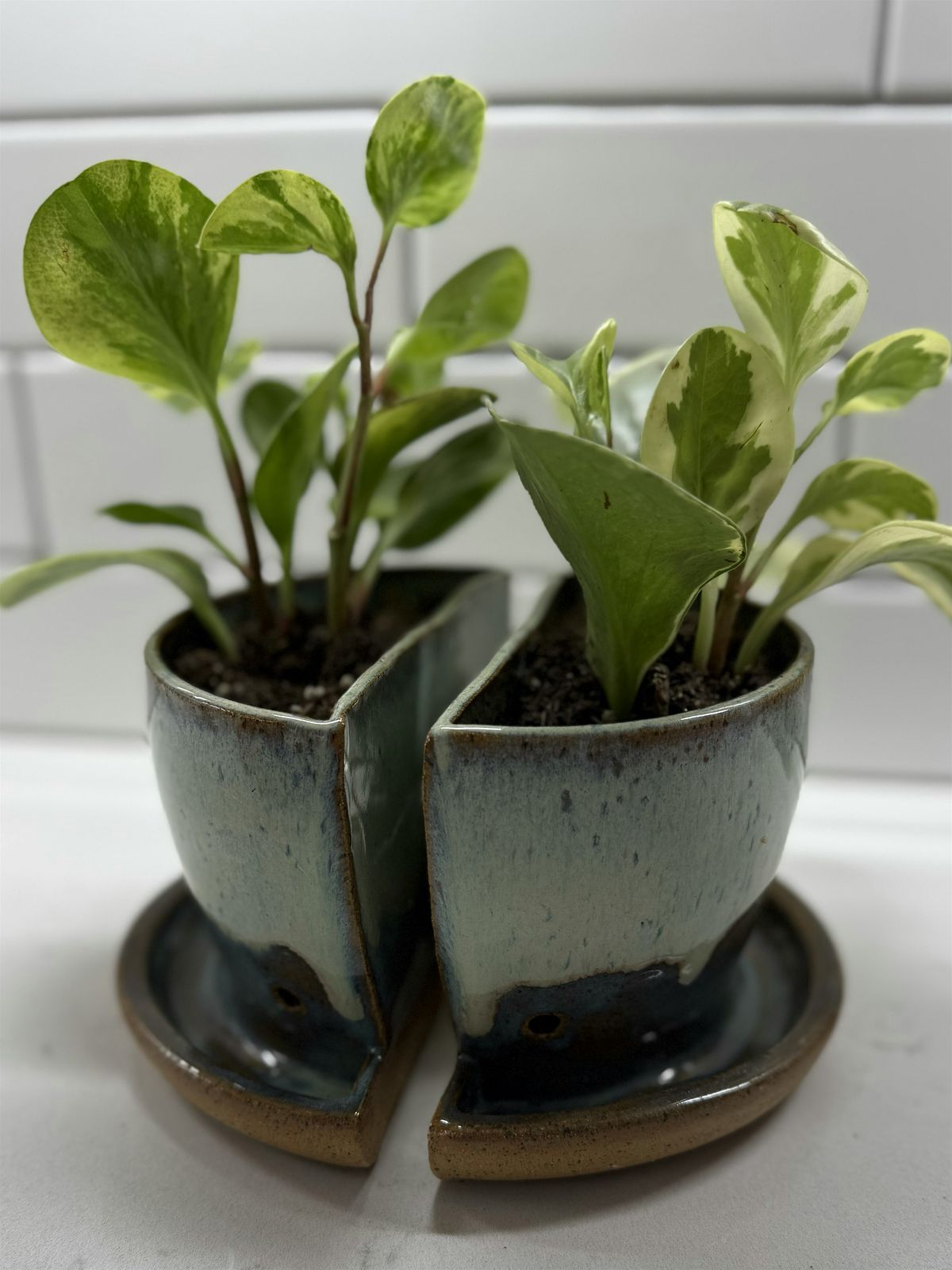 Ceramics Wheel 102: Making a Bookend Planter, 11 August | Event in Flagstaff | AllEvents