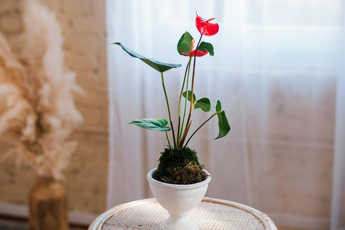 Discover the Art of Kokedama: Japanese 'Moss Ball' Workshop, 28 June | Event in Honolulu | AllEvents