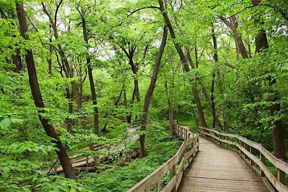 Guided Nature Hike, 18 May | Event in Bellevue | AllEvents