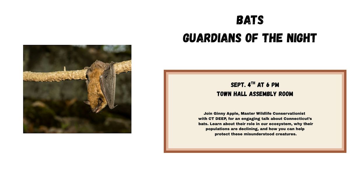 Bats: Guardians of the Night, 4 September | Event in Beacon Falls | AllEvents