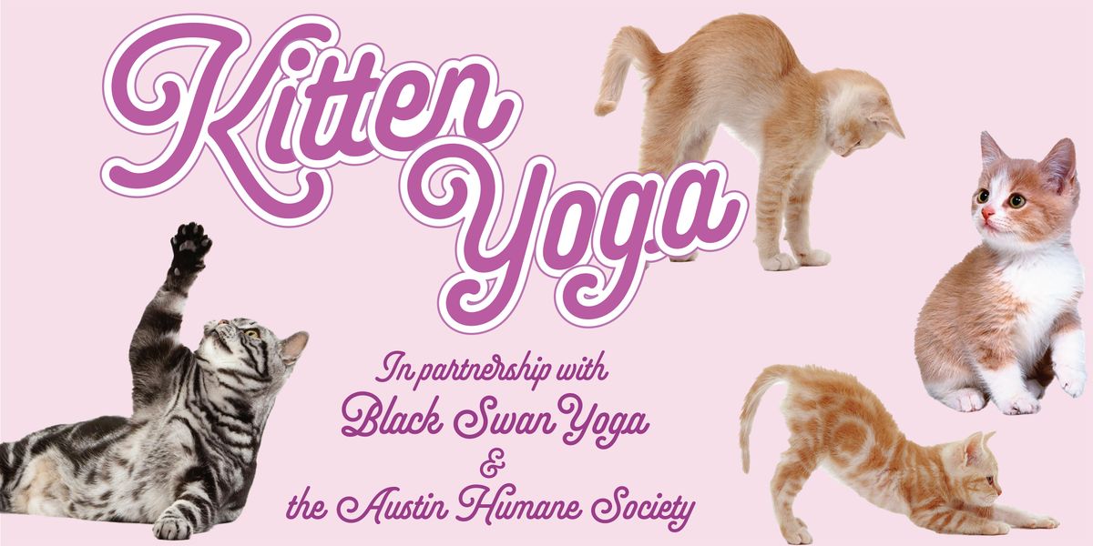 Kitten Yoga with Black Swan & Austin Humane Society, 24 August | Event in Austin | AllEvents