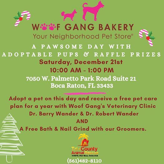 Adoption Event At Woof Gang Boca Raton