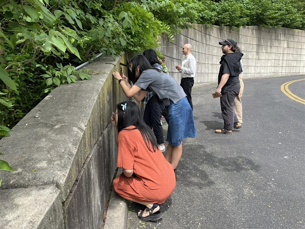 Parking Lot Lichen Walk, 17 May | Event in Brooklyn | AllEvents