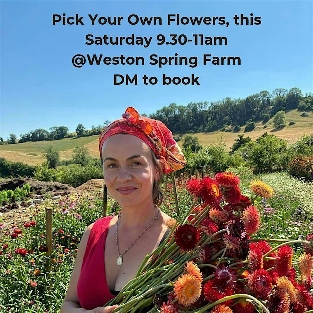 Pick your own flowers, 16 August | Event in Bath | AllEvents