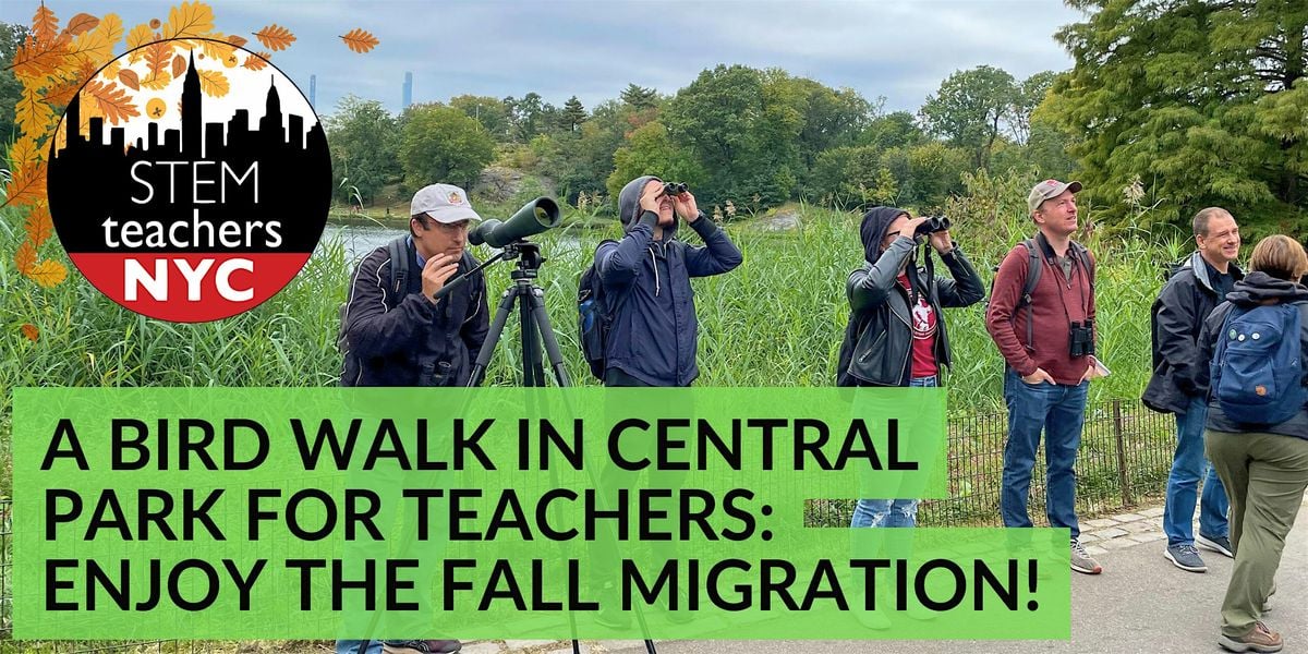A Bird Walk in Central Park for Teachers: Enjoy the fall migration!, 18 October | Event in New York | AllEvents