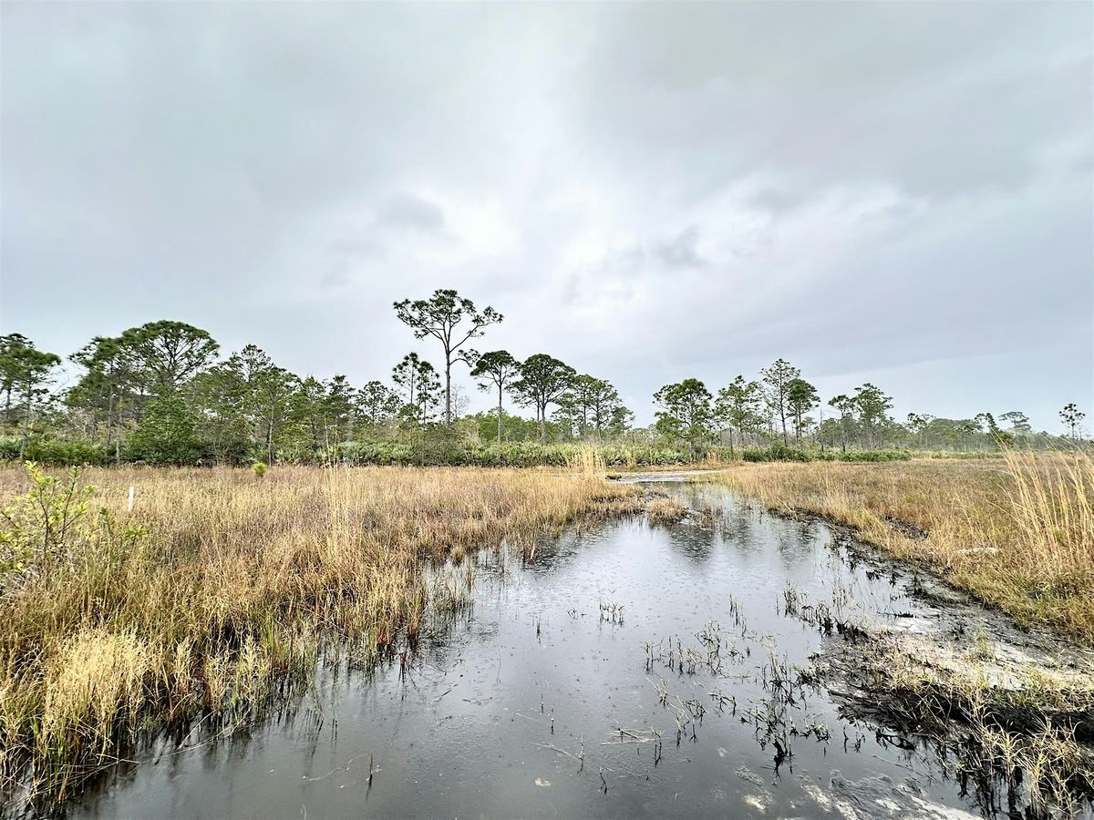Exploring Haney Creek Nature Walk, 13 October | Event in Stuart | AllEvents