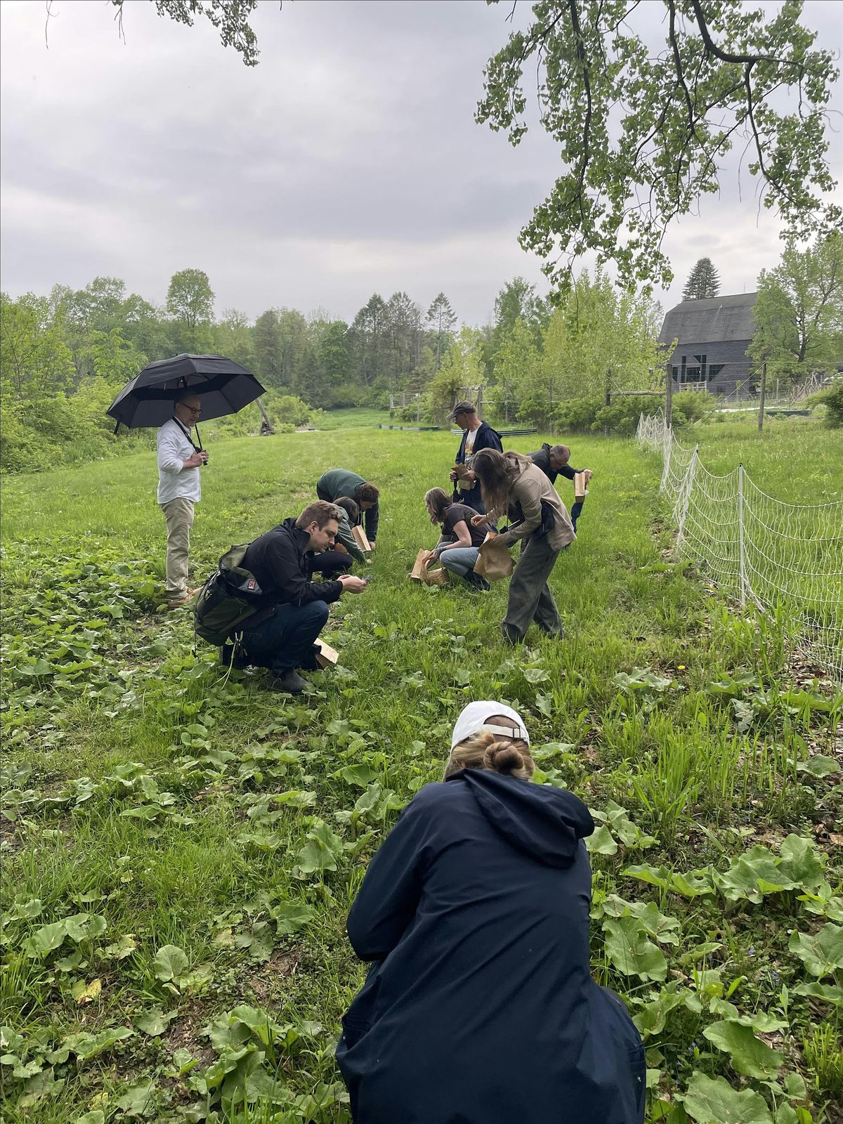 Herb Walk & Tincture Making Class, 18 May | Event in Cassopolis | AllEvents