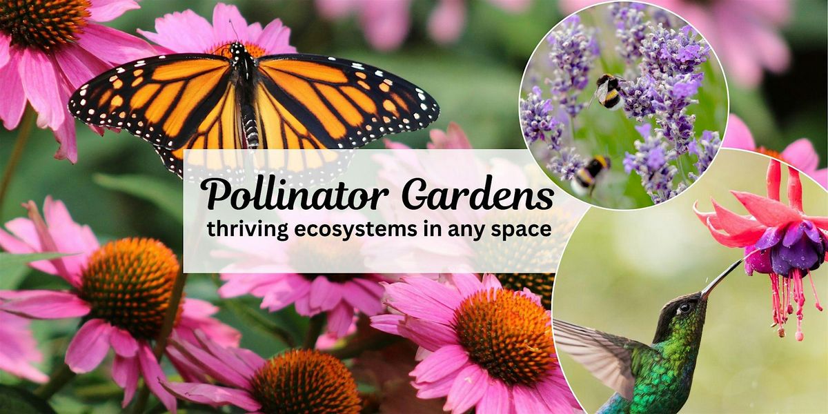 Buzz & Bloom: Creating a Pollinator Paradise, 3 May | AllEvents