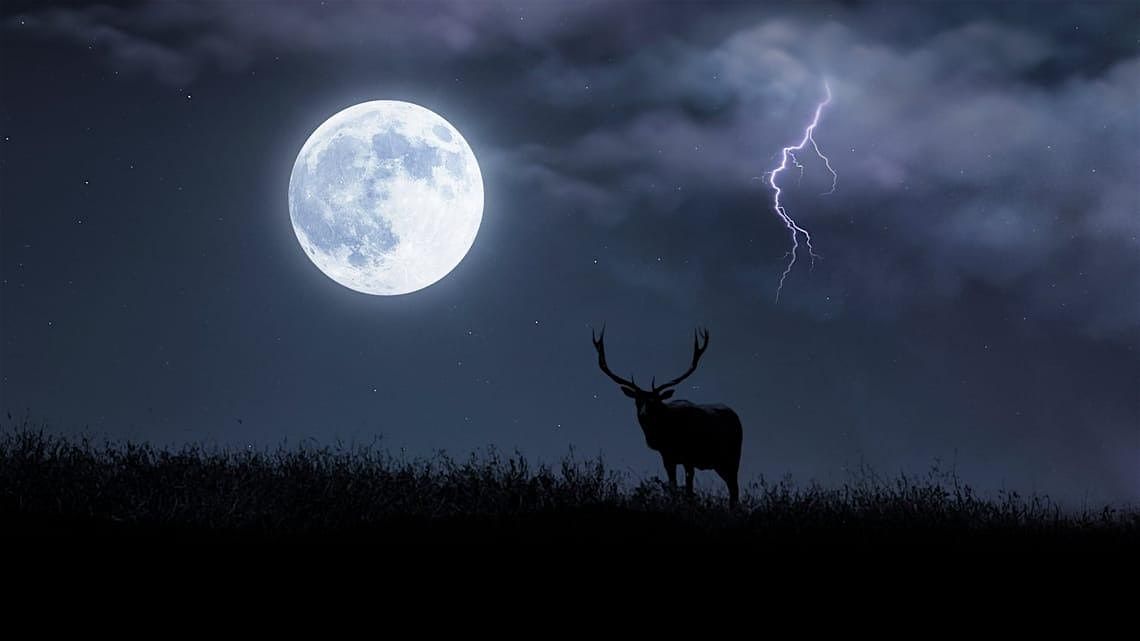 Full Moon Soundwave Journey by Sleepy Creek, 10 July | Event in Berkeley Springs | AllEvents