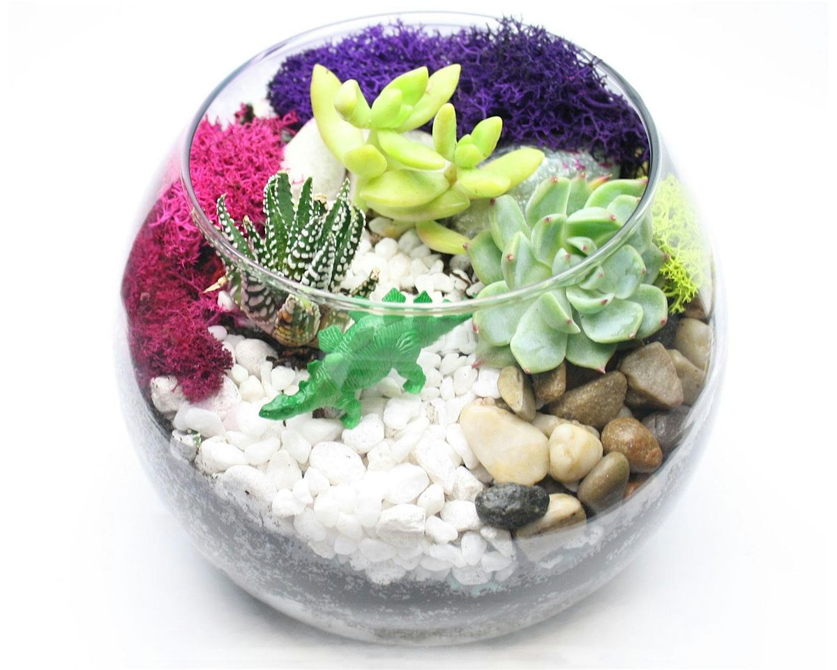 Family Plant Party: Make a Succulent Terrarium, 25 June | Event in Mississauga | AllEvents