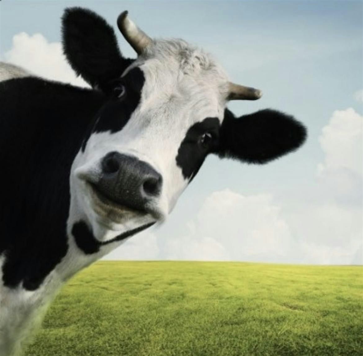 COW- Connecting Our Women Networking Evening, 28 November | Event in Aberdeen | AllEvents
