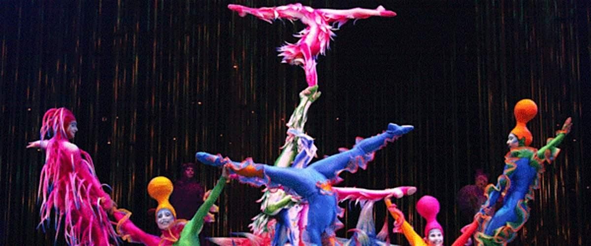 Illumination: A Midnight Garden Gala, 31 December | Event in Miami | AllEvents