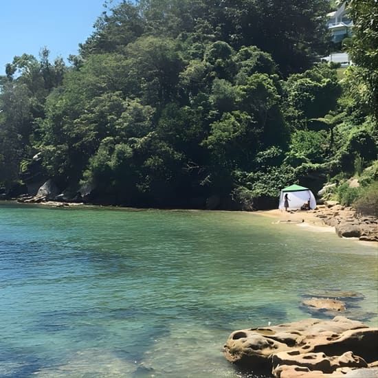 Our Best Hidden Harbour Beaches Tour | Event in Rose Bay | AllEvents