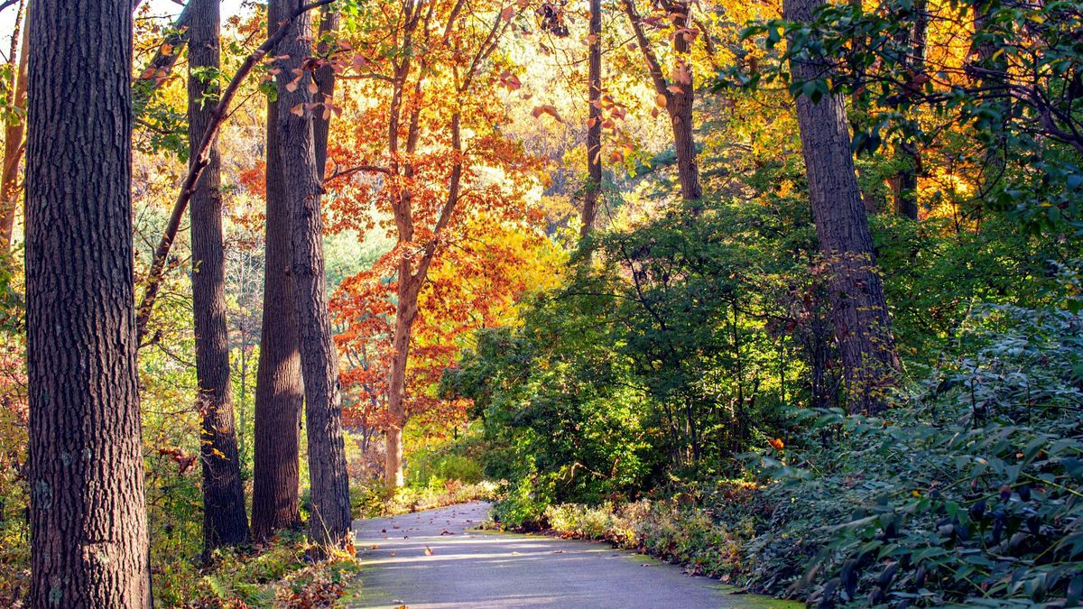 Fall Wednesday Walkabouts, 3 September | Event in Devon | AllEvents