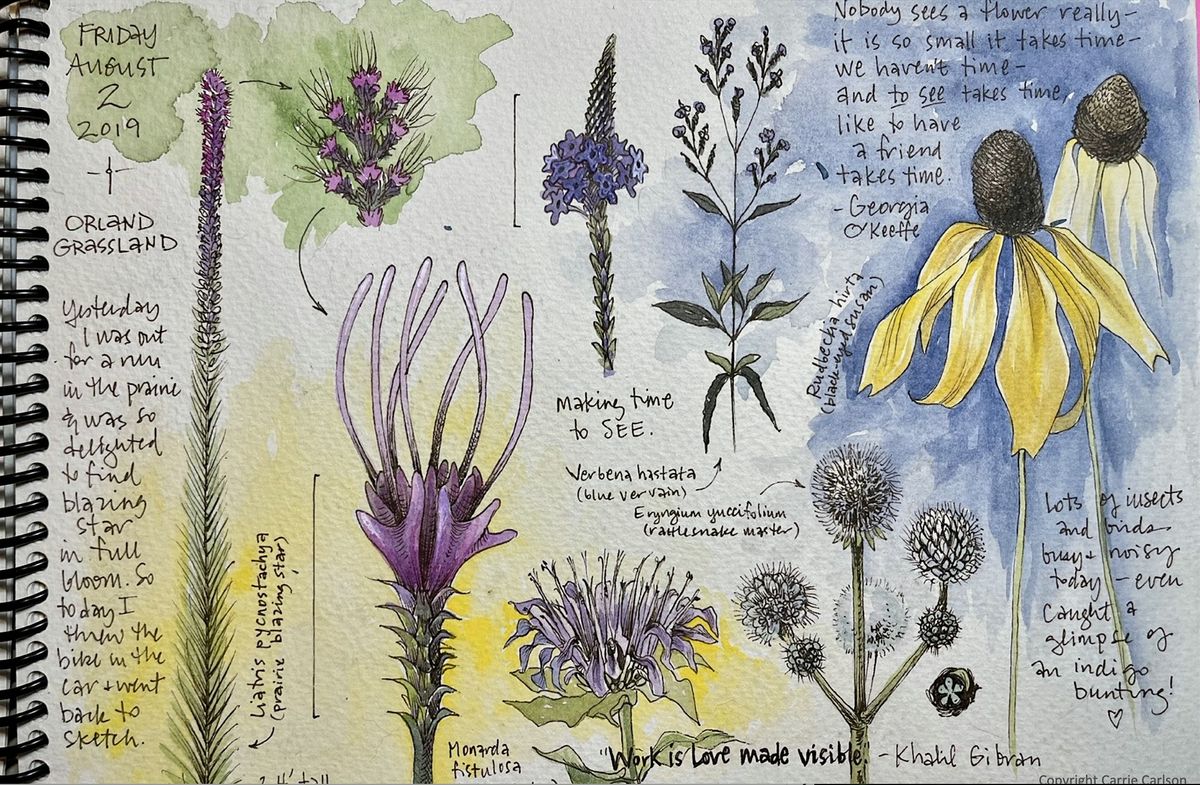 Sketch and Stroll, 29 June | Event in Barrington Hills | AllEvents