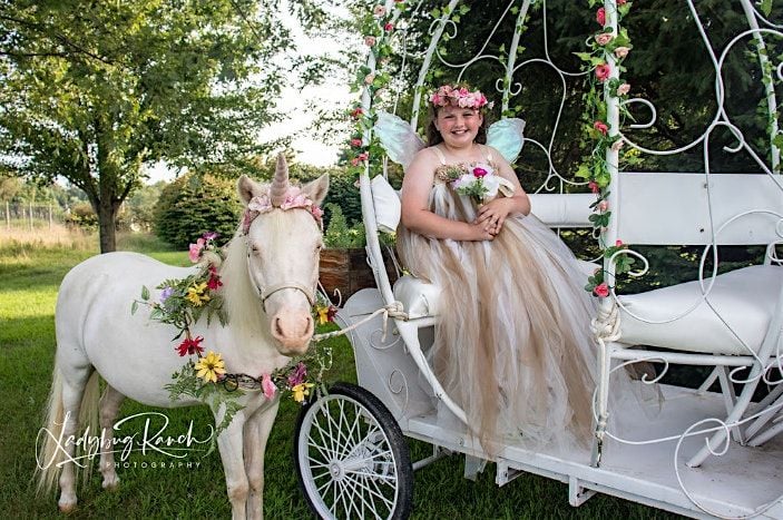 Unicorn Experience Aug 30, 30 August | Event in Madison | AllEvents