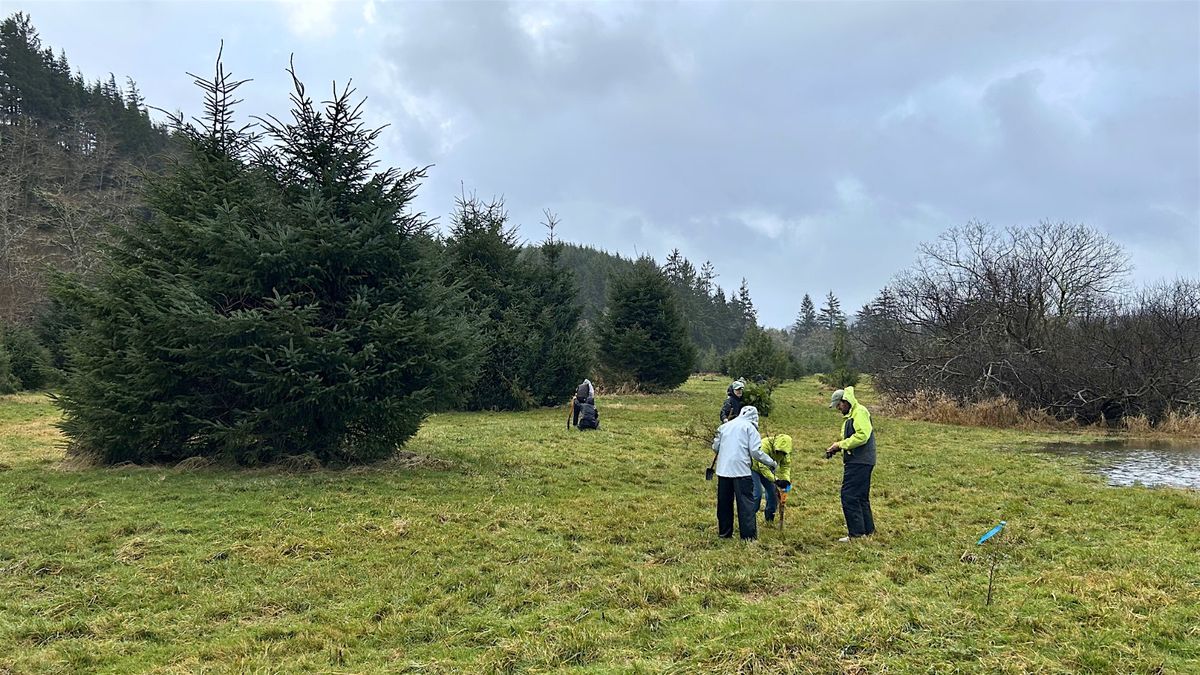 Celebrate the Solstice with Stewardship, 21 December | Event in Seaside | AllEvents