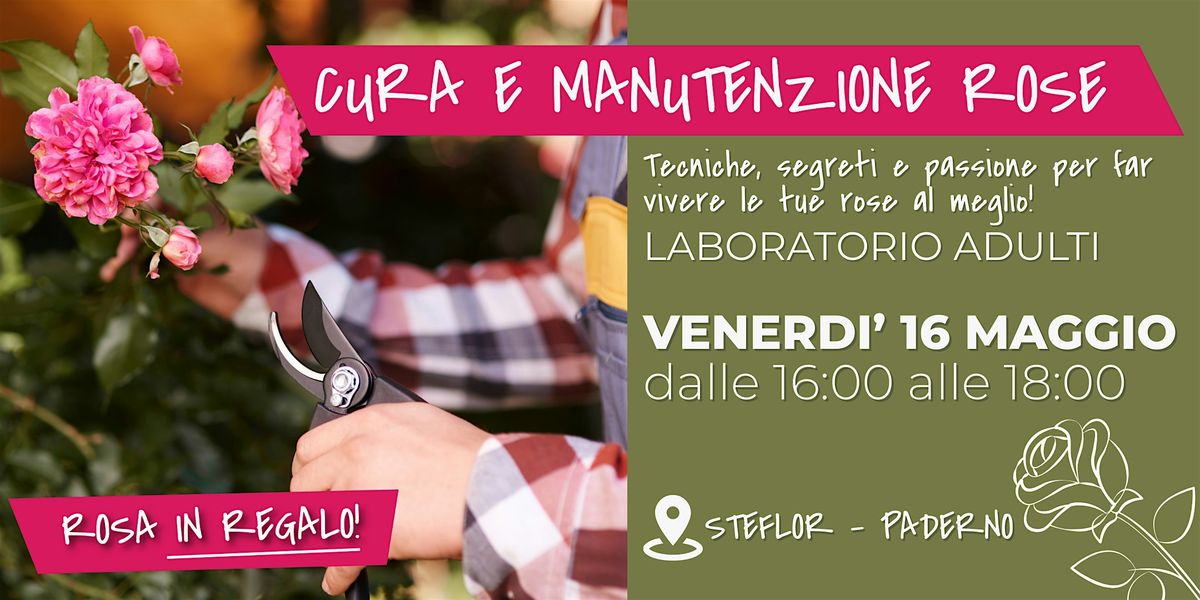 Corso adulti: Rose da giardino | Event in Paderno Dugnano | AllEvents