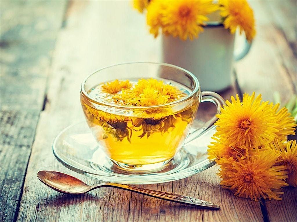 Herb Class: Making Decoctions, Teas, and Identifying Herbs, 26 July | Event in Angier | AllEvents