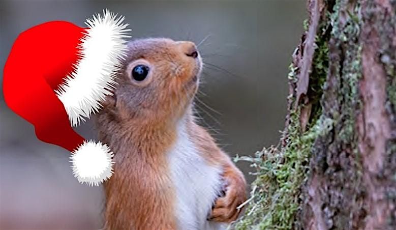 Spruce Up Hazlehead Woods | Event in Aberdeen | AllEvents