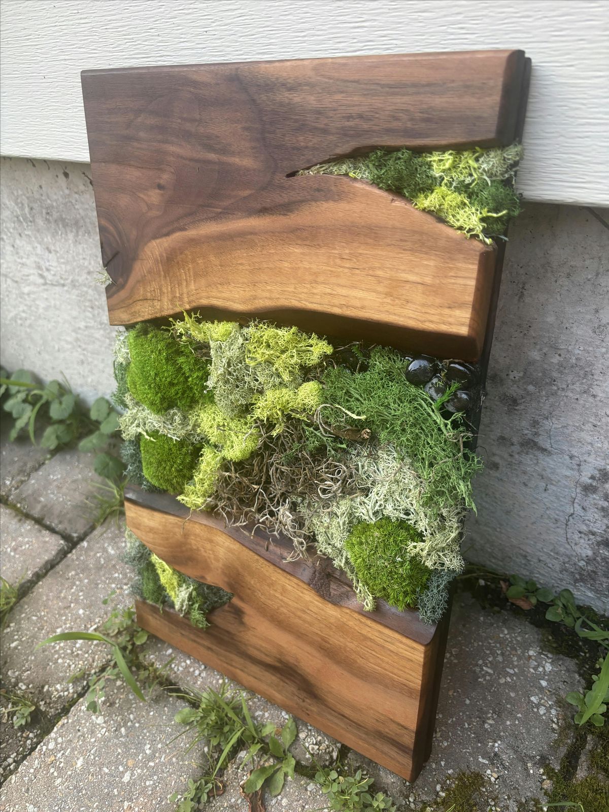 Biophilic  Design Workshop, 23 August | Event in Flemington | AllEvents