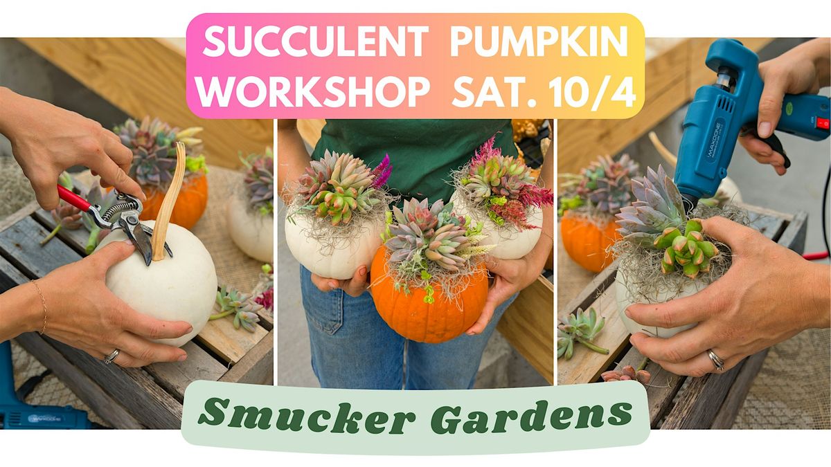 Succulent Pumpkin Workshop @ Smucker Gardens, 4 October | Event in Millersburg | AllEvents