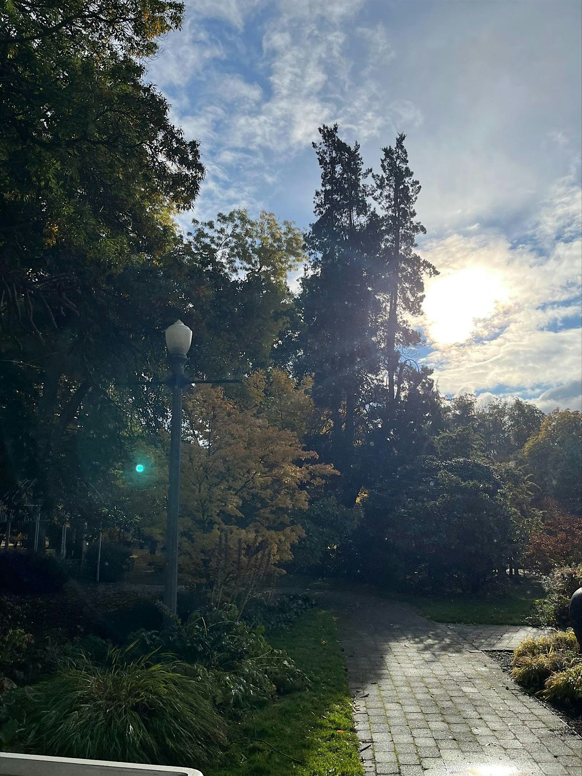 Nature Mindfulness Walks, 5 September | Event in Tacoma | AllEvents