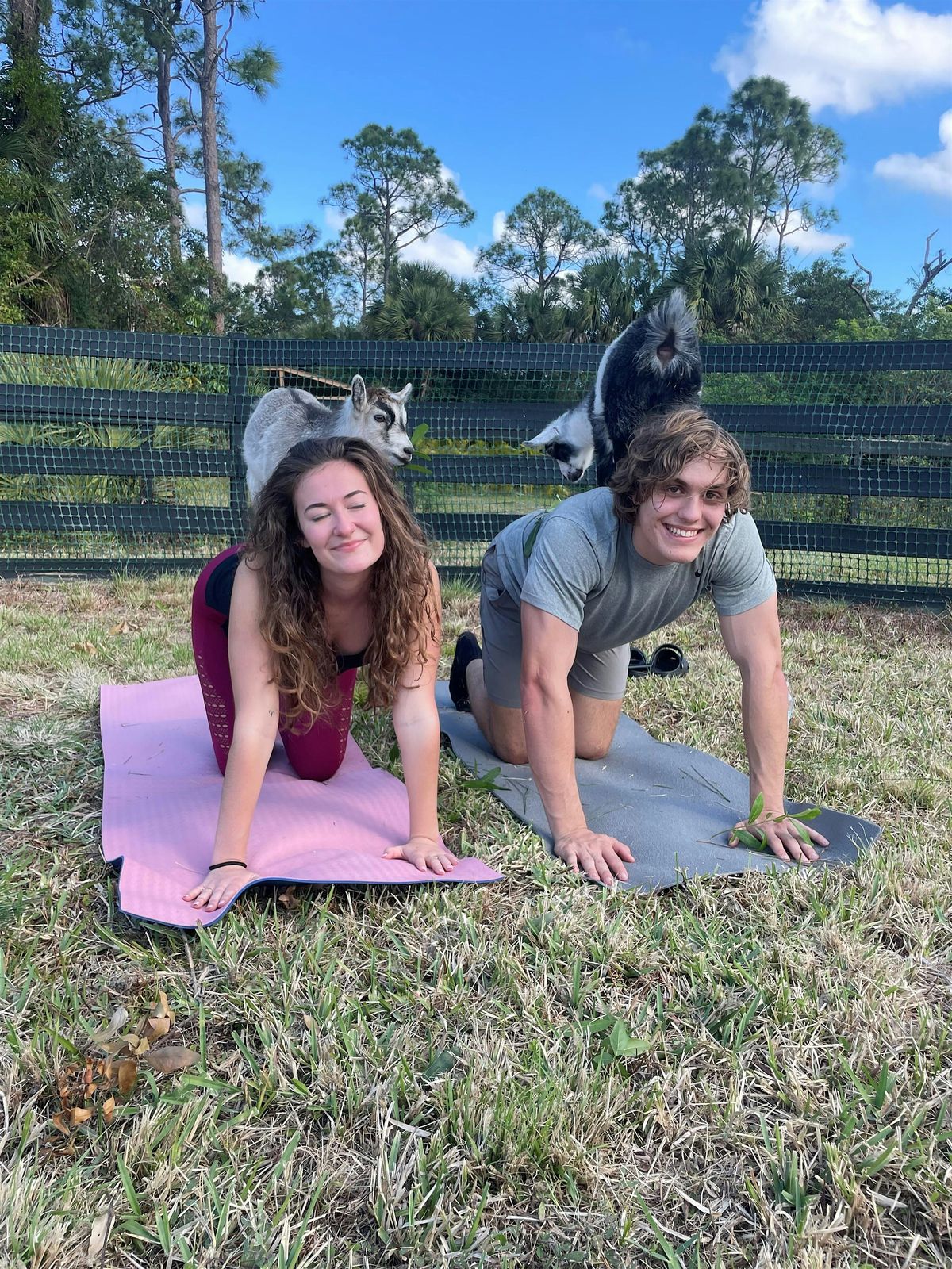 Fun Goat Yoga with Baby Goats, Farm Tour, Unique Attraction in Palm Beach, 2 August | Event in Loxahatchee