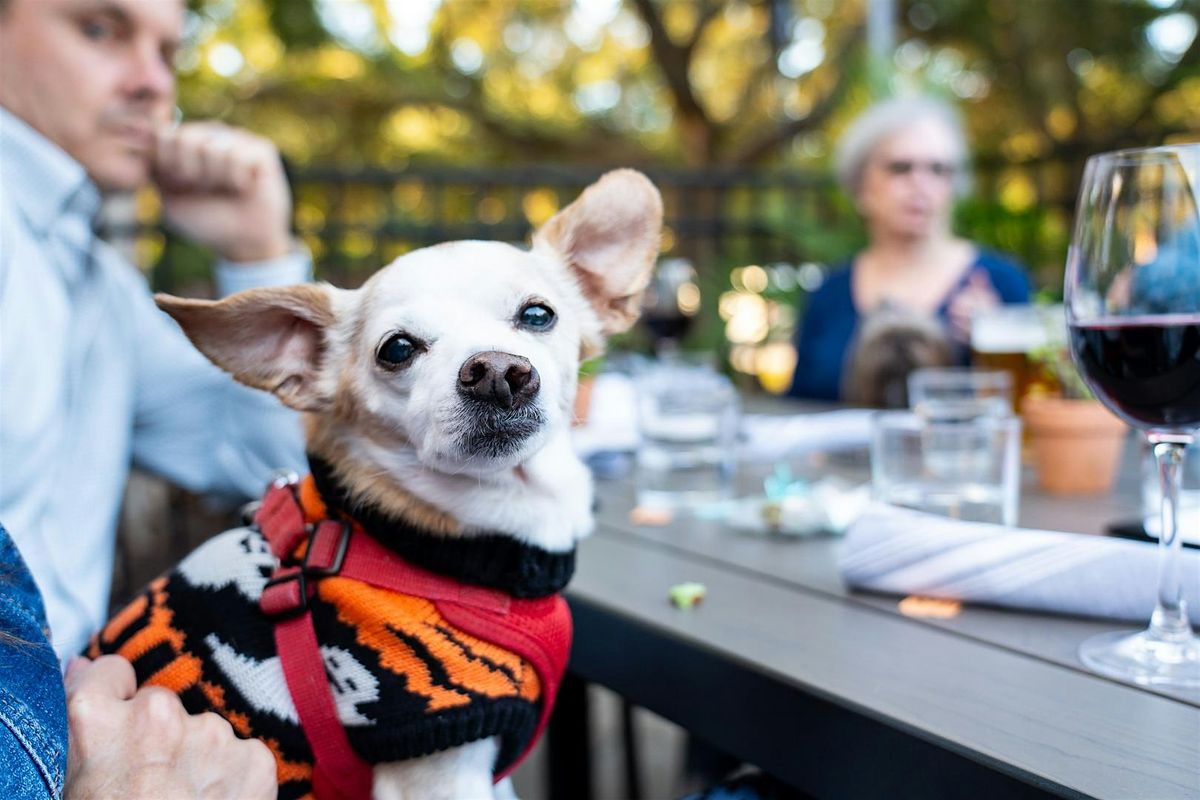 Paws on The Patio to benefit Charleston Animal Society, 11 September | Event in Mount Pleasant | AllEvents