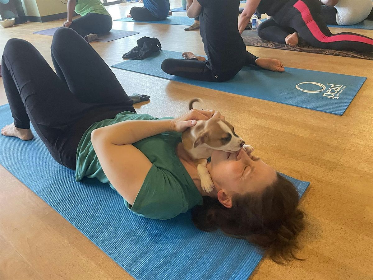 Doggy Noses & Yoga Poses at BETTR Fit Club, 4 May | Event in East Rutherford | AllEvents