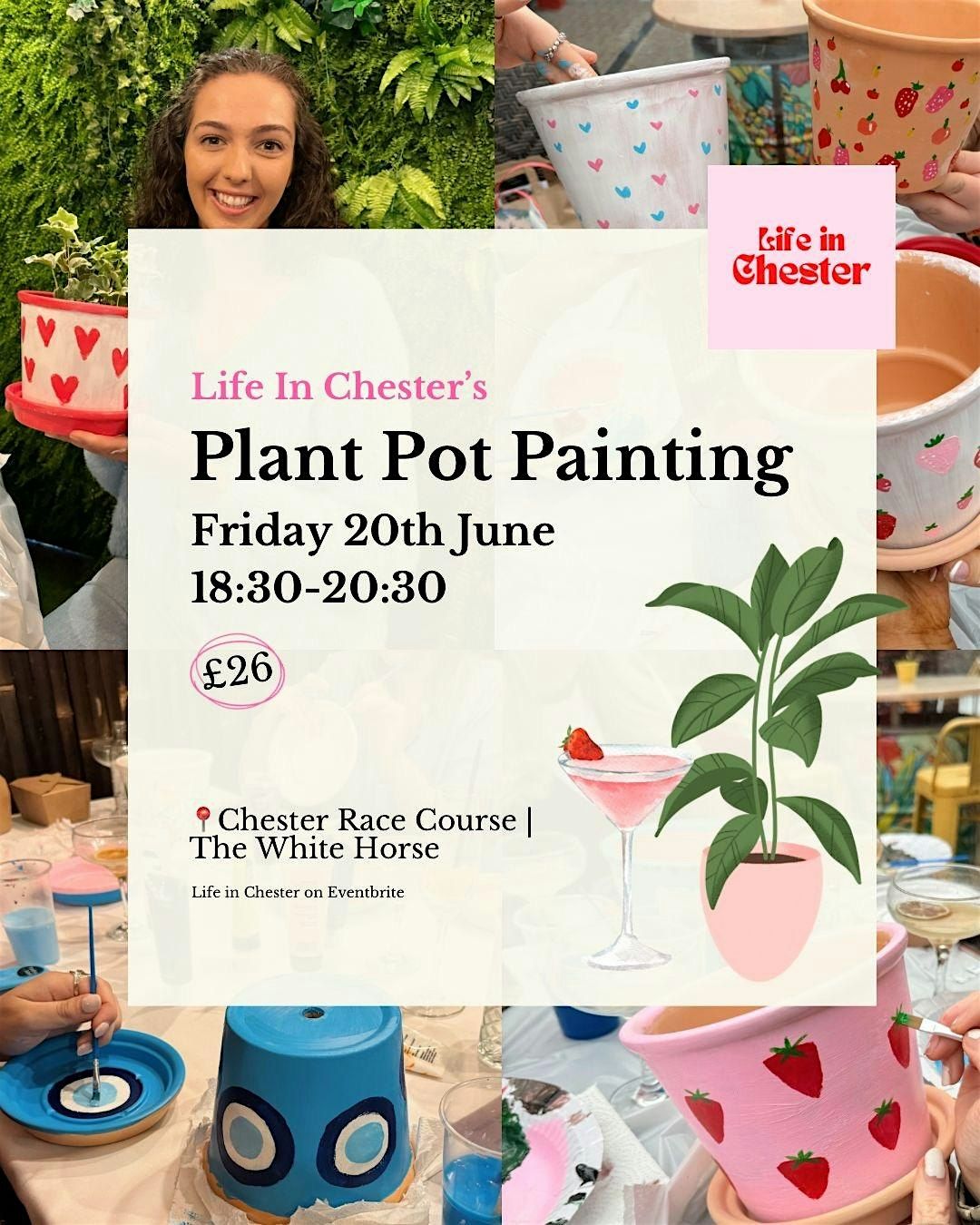 Plant Pot Painting, 20 June | Event in Chester | AllEvents