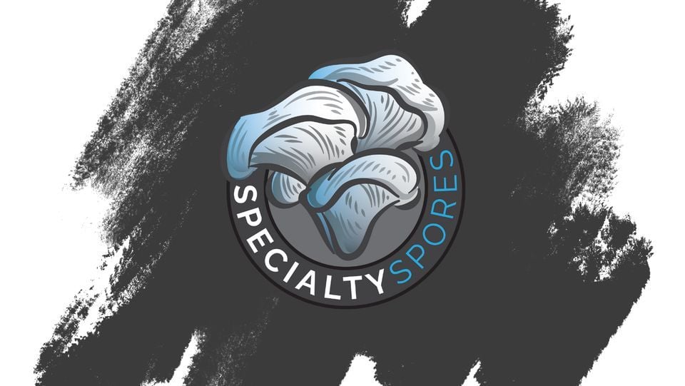 Oakdale Farmers Market , 4444 Hadley Avenue N Oakdale, MN 55128, Little