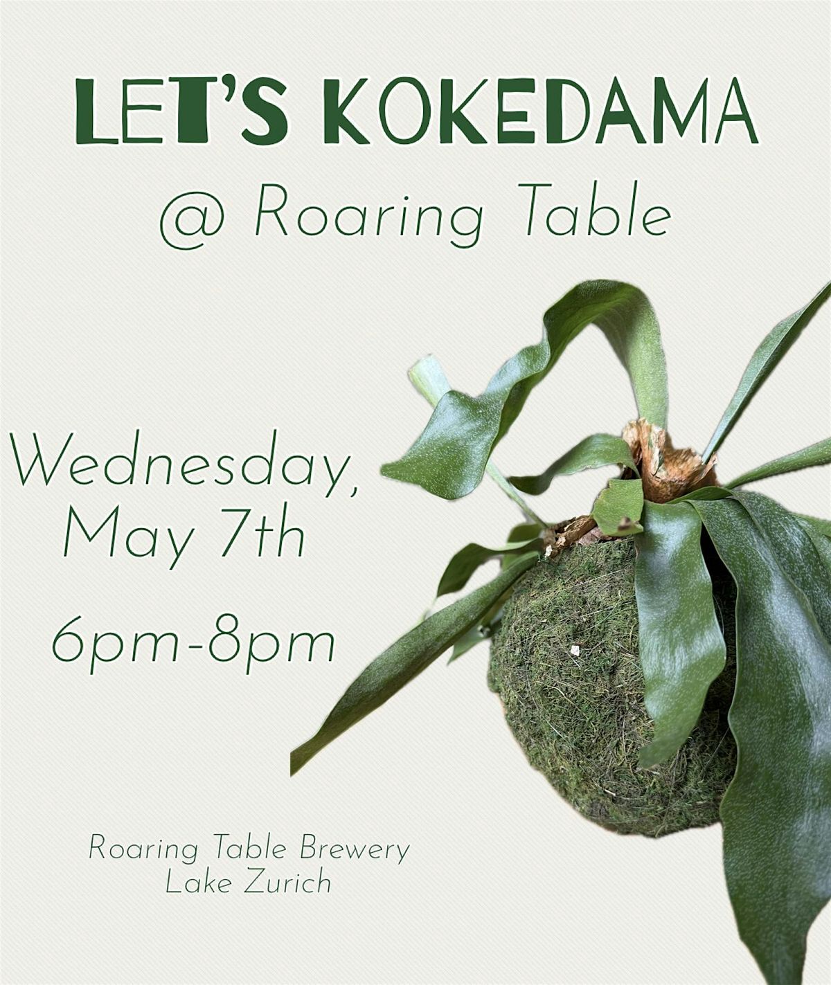 Let’s Kokedama @ Roaring Table | Event in Lake Zurich | AllEvents