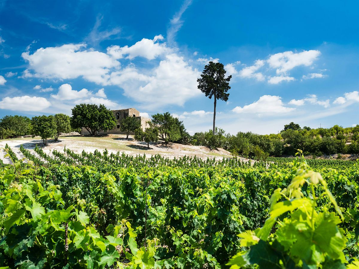 Wine Dinner - A Journey by the Sea, 30 October | Event in Richmond | AllEvents