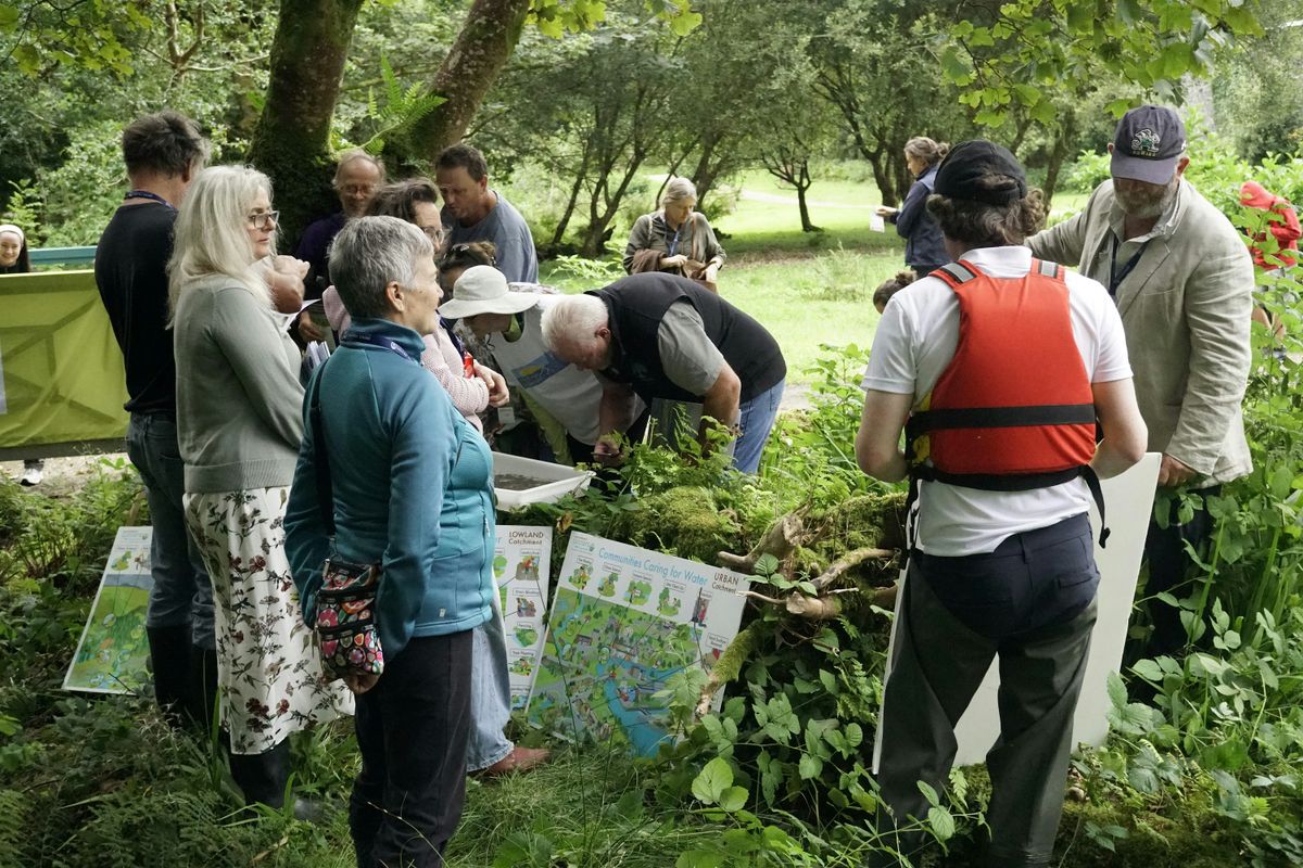 Biodiversity Summer School Saturday Afternoon Ticket, 30 August | Event in Letterfrack | AllEvents