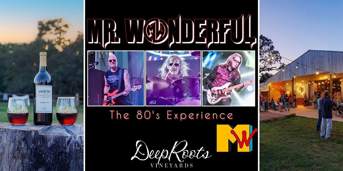 80's EXPERIENCE by Mr. Wonderful |Texas wine & craft beer | DeepRoots, 8 August | Event in Plantersville