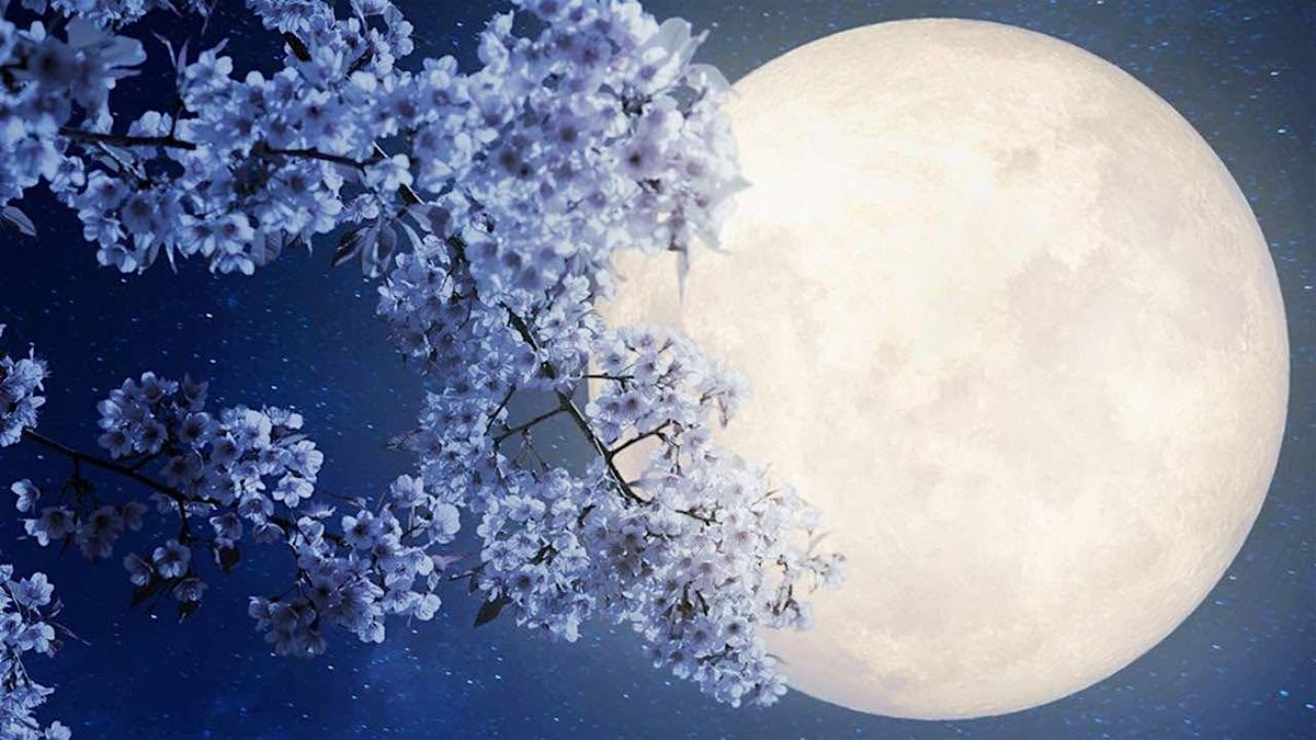 Guided Full Moon Meditation - The Flower Moon!, 12 May | Event in Acampo | AllEvents