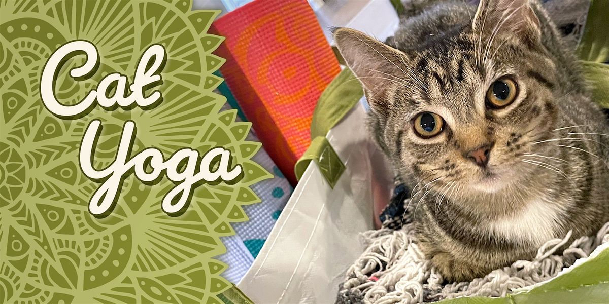 Cat Yoga at Catfé Lounge!, 18 September | Event in Ferndale | AllEvents