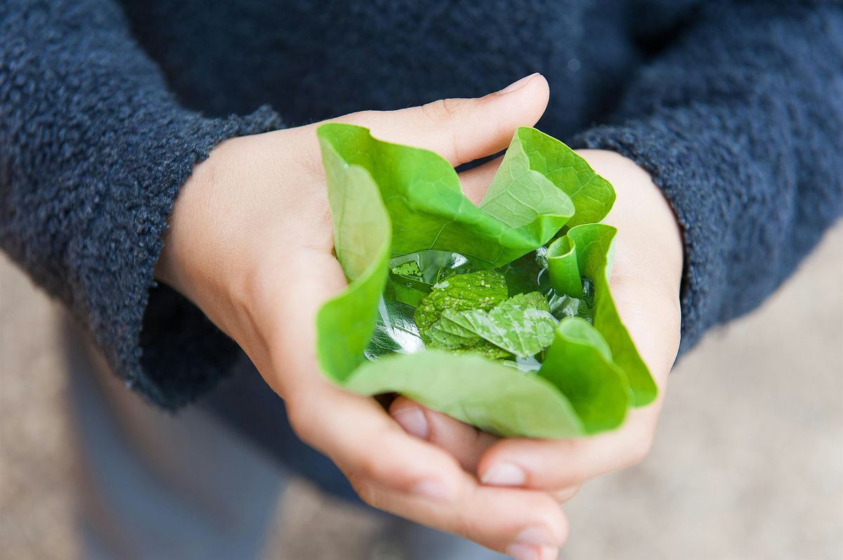 CIRC Elementary presents: Exploring Nature Through a Transdisciplinary Lens, 23 January | Event in San Francisco